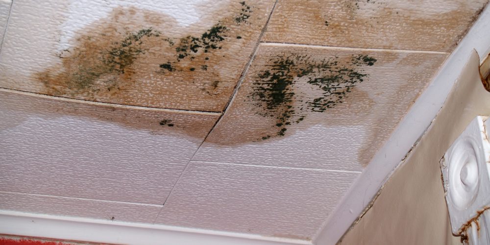 A ceiling with moldy and discolored spots. This is one of the top signs of having a slab leak in your home