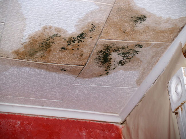 Water,Damaged,Ceiling A ceiling with moldy and discolored spots. This is one of the top signs of having a slab leak in your home