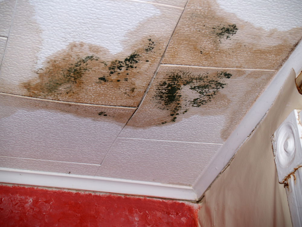 A ceiling with moldy and discolored spots. This is one of the top signs of having a slab leak in your home